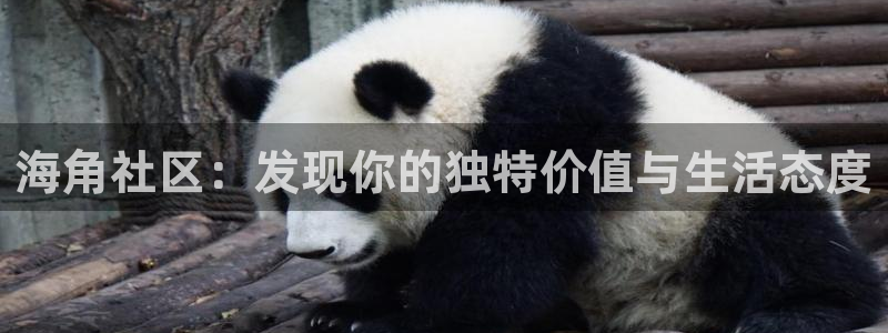 海角社区帖子怎么删不了：海角社区：发现你的独特价值与生活态度