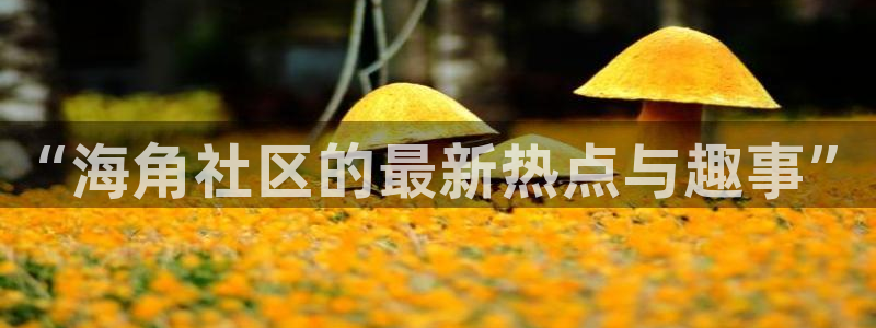 海角社区的链接：“海角社区的最新热点与趣事”
