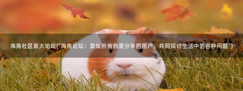 地方海角社区：海角社区最大论坛(\