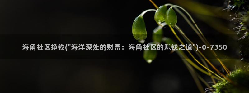 海角社区 热帖：海角社区挣钱(\