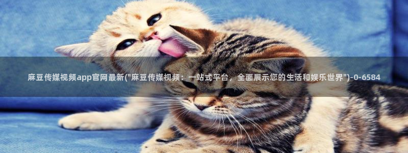 麻豆映画传媒苹果版官网：麻豆传媒视频app官网最新(\