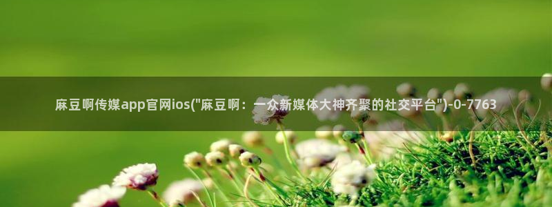 麻豆传媒映话官网：麻豆啊传媒app官网ios(\