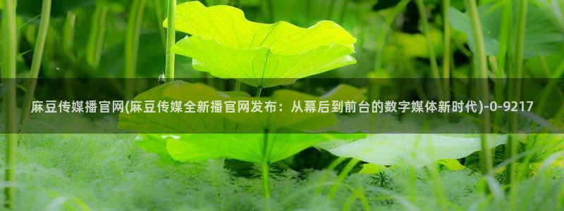 麻豆传媒官网频道：麻豆传媒播官网(麻豆传媒全新播官网发布：从幕后到前台的数字媒体新时代)