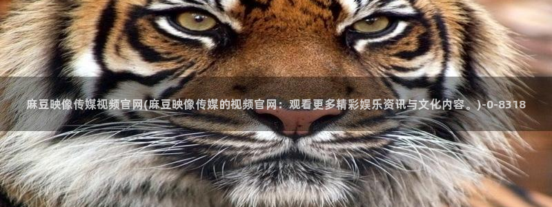 麻豆av传媒官网进入