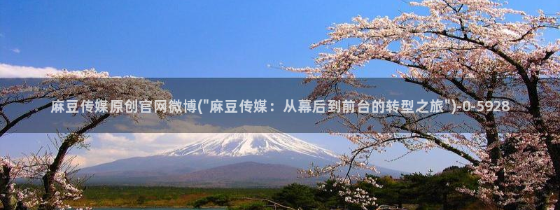 麻豆传媒官网app会员