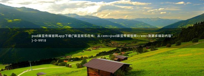 麻豆村麻豆官网传媒