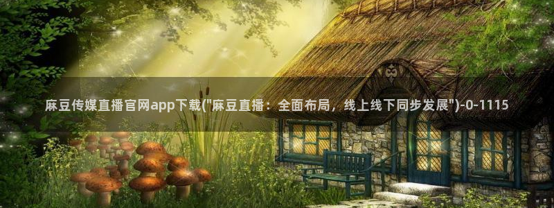 麻豆传媒官网怎么打开