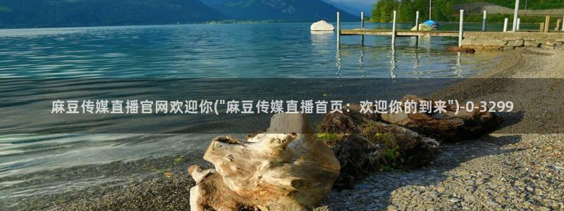 麻豆床传媒官网在线：麻豆传媒直播官网欢迎你(\