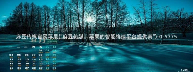 麻豆传媒官网原创