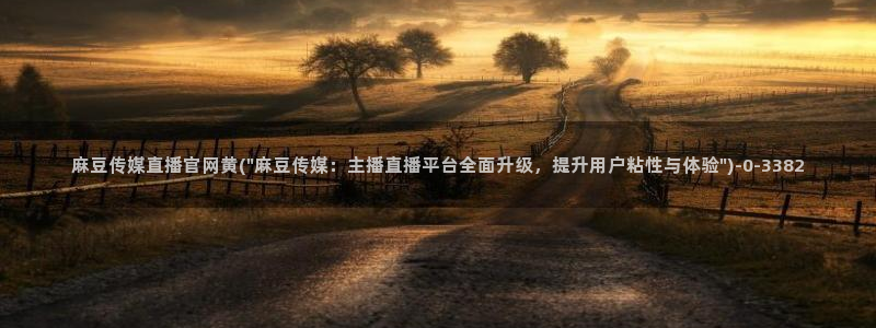麻豆传媒官网 视频