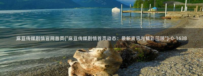 91麻豆传媒app官网