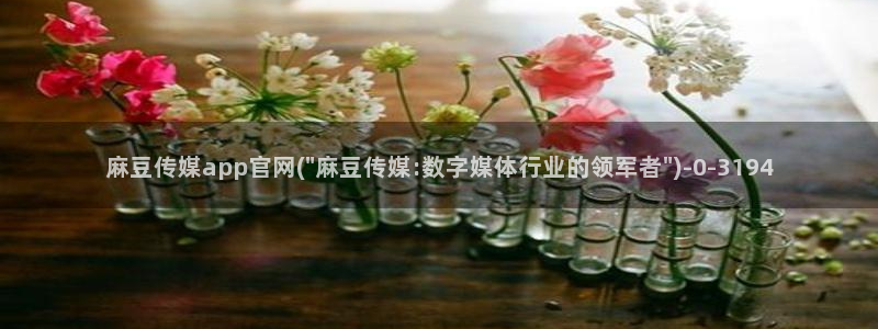 麻豆猫爪传媒官网