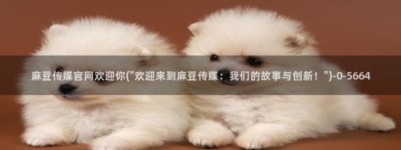 麻豆传媒直播官网可可：麻豆传媒官网欢迎你(\