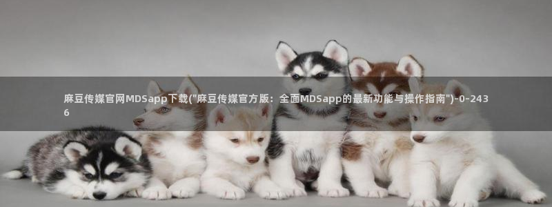 麻豆传媒官网正在播放