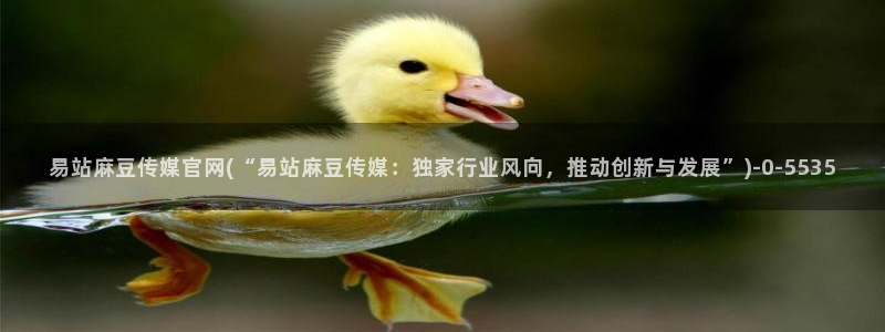 麻豆传媒下载官网入口
