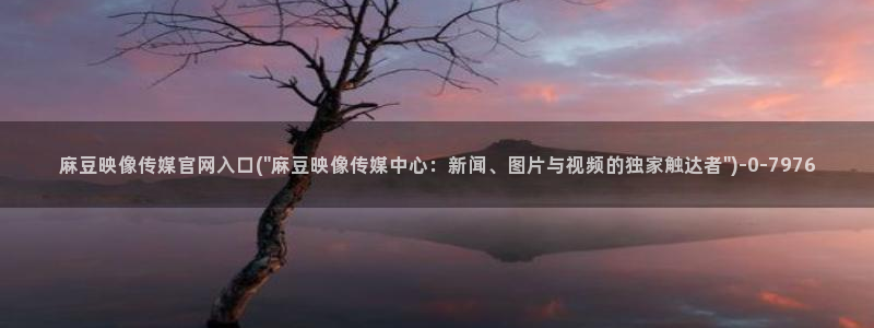艾秋麻豆果冻传媒官网