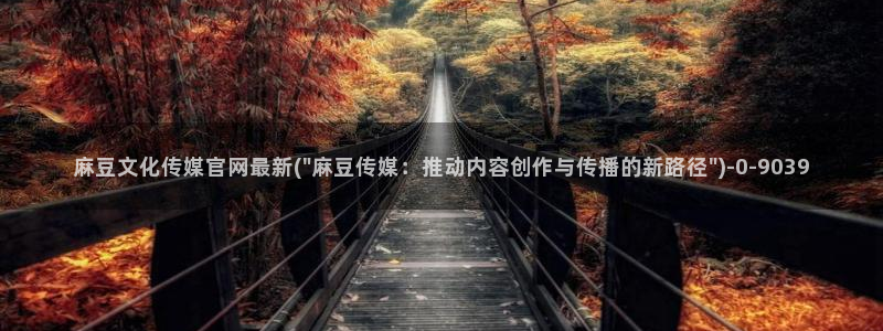 麻豆传媒出品官网