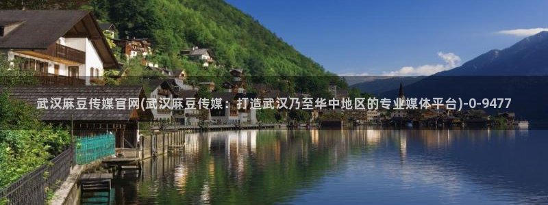 麻豆传媒文化官网