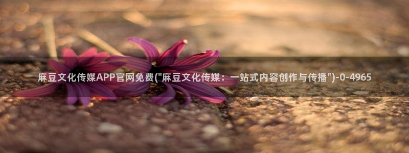 麻豆影视文化传媒官网黄