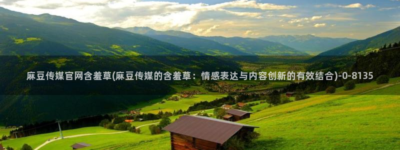 麻豆传媒的官网