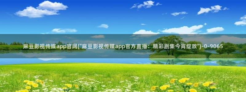 麻豆呀传媒官网