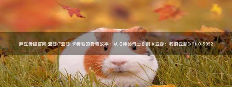 麻豆床传媒官网入口