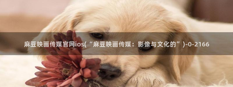mbpud麻豆传媒官网